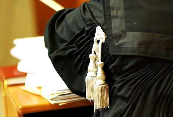 toga collegio garante